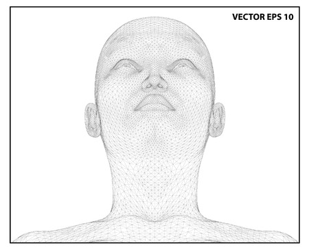 Vector concept or conceptual 3D wire frame human female head isolated on white backgroundのイラスト素材