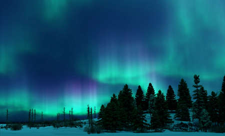 Colorful Northern Lights over starry night skyの写真素材