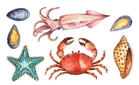Watercolor sea animals cartoon set on white background for your menu or design.の写真素材