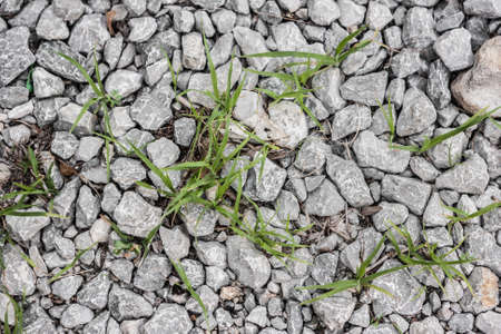 Pile of stones on grass backgroundの写真素材