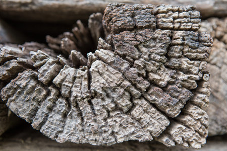 Beautiful pattern on wood texture background