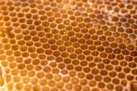 honeycomb pattern texture background