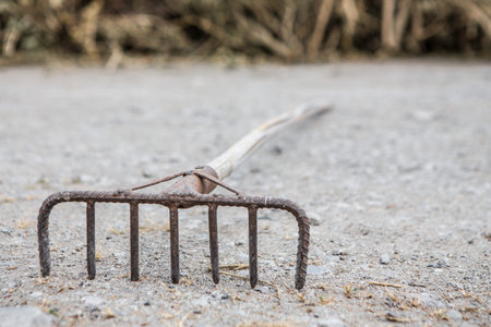 The rake is rusty with piles of dry branches on the floor in the farm