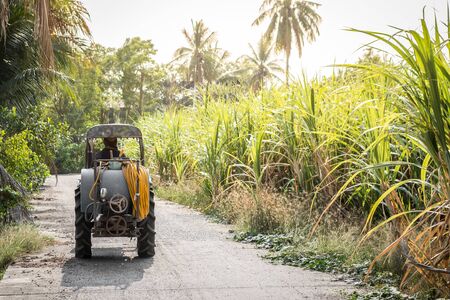 The farmer was driving a tractor on a farm road and morning sunlight with a natural backgroundの写真素材