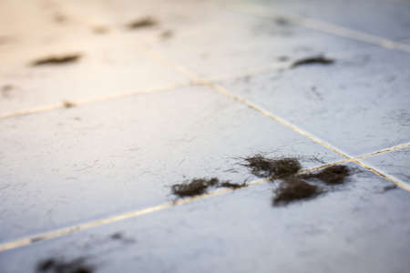 Hair cuts on the floor in a barber shopの写真素材