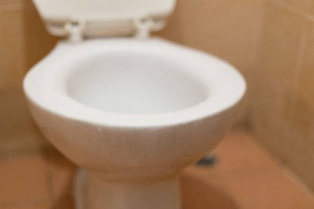 White toilet bowl on the floor tiles