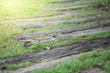Wood walkway on the lawn texture background with warm lightの写真素材