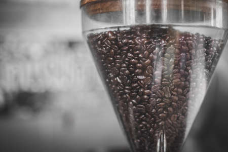 Coffee beans in the grinder texture backgroundの写真素材