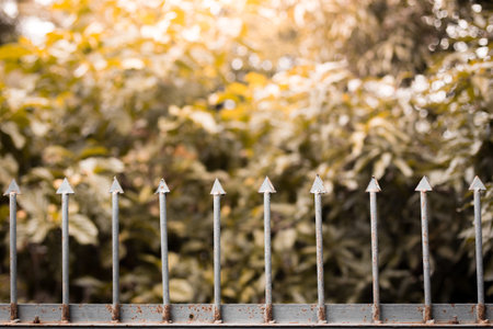 Old iron fence on natural blurred background with sunlight