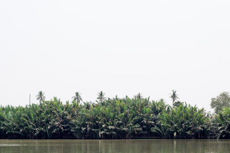 Landscape of Riverside trees on the sky background