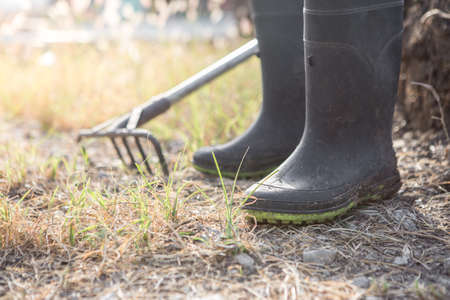 Farmer boots and rakes on the grass with sunlightの写真素材