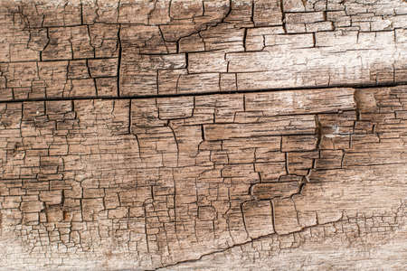 Patterns on beautiful wooden floor texture backgroundの写真素材