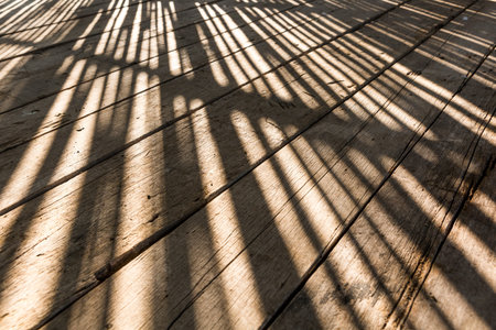 Selective focus of Pattern Beautiful light and shadow on the wooden floor texture backgroundの写真素材