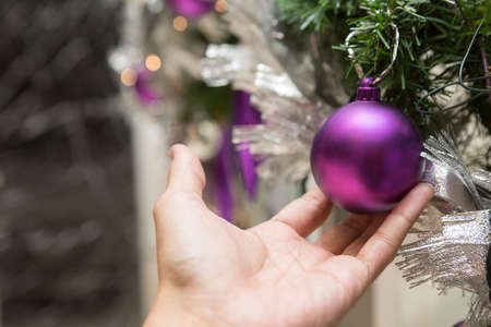 Hand holding Purple christmas ball on a Christmas tree decorated in Christmas and New Year's Dayの写真素材