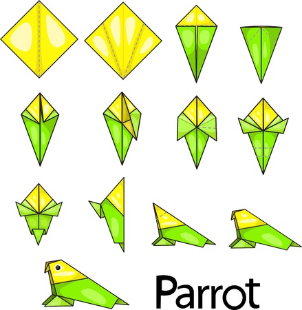 Illustrator of parrot origamiのイラスト素材