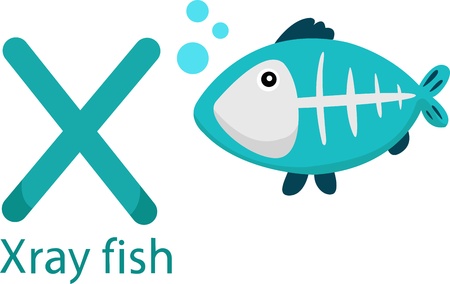 Illustrator of X with x-ray fishのイラスト素材