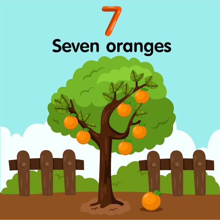 Illustrator of number seven orangesのイラスト素材
