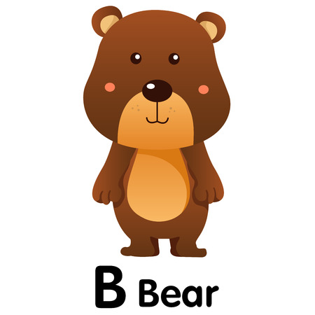Illustrator of animal alphabet letter B for bearのイラスト素材
