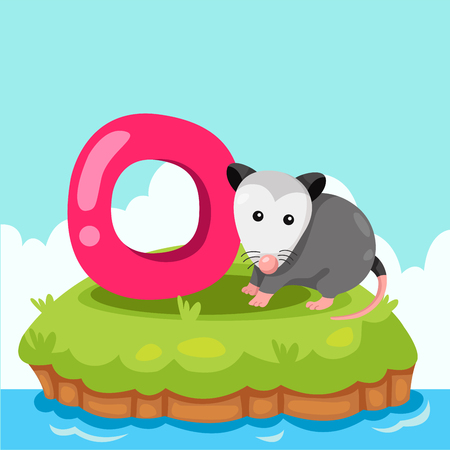 Illustrator of Letter o is for opossumのイラスト素材