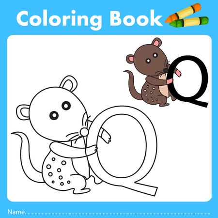 Illustrator of color book with quoll animalのイラスト素材