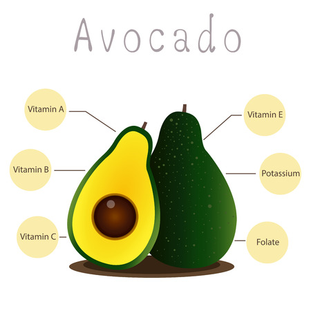 Illustrator of avocadoのイラスト素材