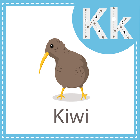 Illustrator of Kiwi birdのイラスト素材