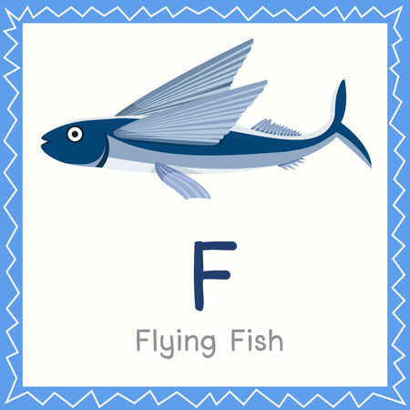 Illustrator of F for Flying Fish animalのイラスト素材