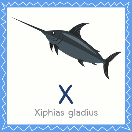 Illustrator of X for Xiphias gladius animalのイラスト素材