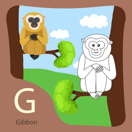 Illustrator of gibbon isolated and coloringのイラスト素材