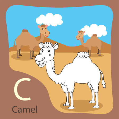 Illustrator of camel isolated and coloringのイラスト素材