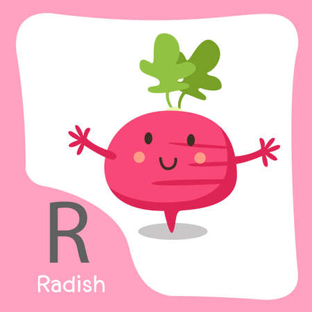 Illustrator of r radish fruit cuteのイラスト素材