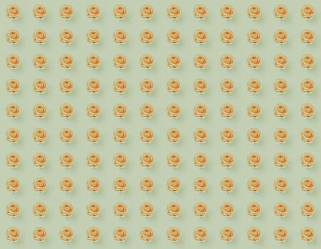 rose vintage backgrounの写真素材