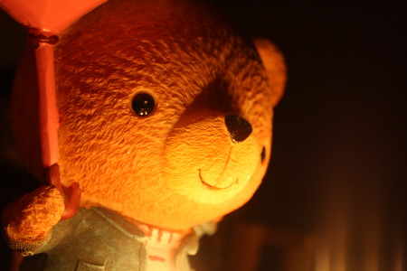 bear in candle light against on darknessの写真素材