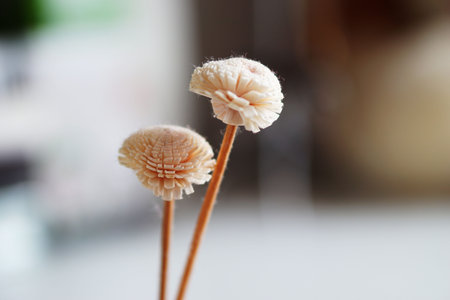paper flower