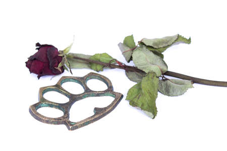 Dried roses and Knuckleの写真素材