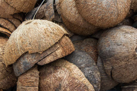 Pile of discarded coconut husksの写真素材