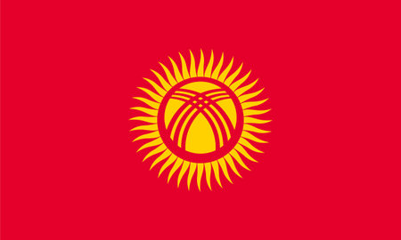 Standard Proportions for Kyrgyzstan Flagのイラスト素材