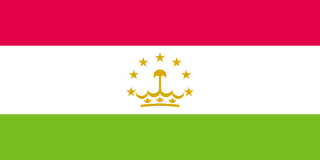 Standard Proportions and Color for Tajikistan Flagのイラスト素材