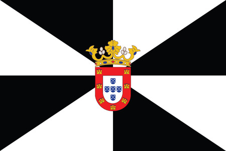 Standard Proportions and Color for Ceuta Flagのイラスト素材