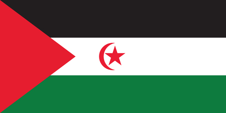 Standard Proportions and Color for Western Sahara Official Flagのイラスト素材