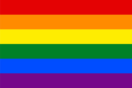 Standard Proportions for Gay Flagのイラスト素材