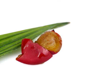Close up , Ripe betel nut red seed balls bunch of Palm with little green leaves isolated on white background.の写真素材