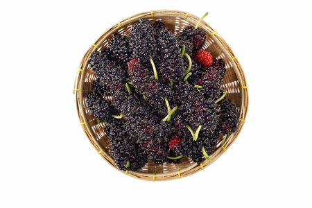 top view, Mulberry in bamboo basket isolated on white background with selective focusの写真素材
