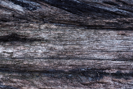 The surface of old wood , Abstract texture background.の写真素材