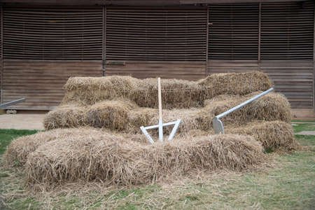 hoe and spade on stack front of wooden 5 farm shedの写真素材