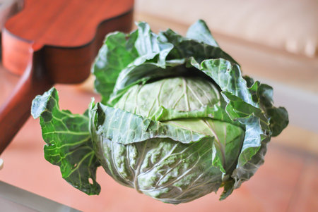 green cabbage and chinese sausages fried cook for braunch  wiht thai jasmine rice in white dish and cupの写真素材