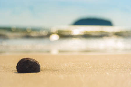sea beach  with island background and pong pong seed on frontの写真素材