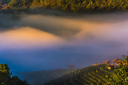 Beautiful panorama scene of doi angkhang mountain with mist in morningの写真素材