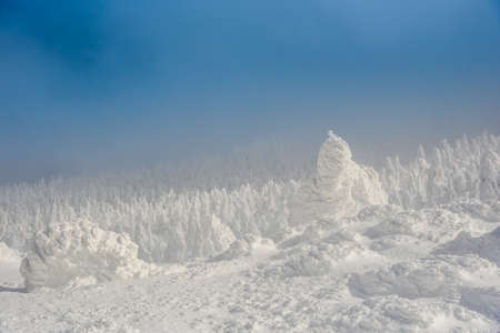 very beautiful snow monster at zao mountain , yamagata japanの写真素材
