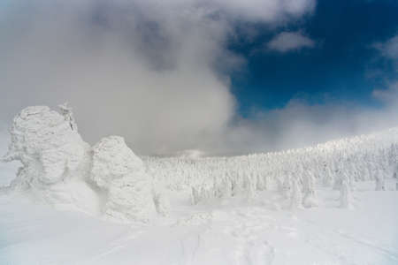 very beautiful snow monster at zao mountain , yamagata japanの写真素材